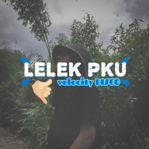 Lelek Pku Velocity Disco