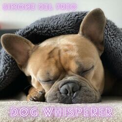 Relaxing Home for Pets