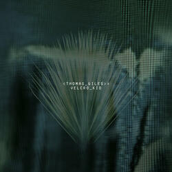 Devotion (Instrumental)