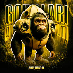 GORILLARI ALTOPARLANTI FUNK (Slowed)