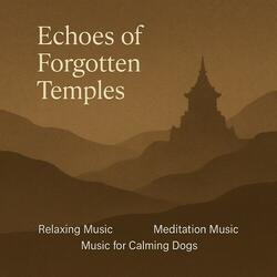 Echoes of Forgotten Temples