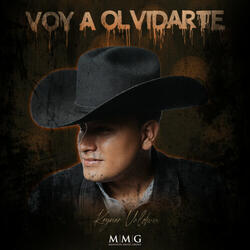 Voy A Olvidarte