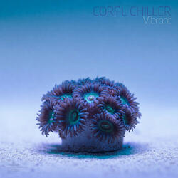 Ghost Polyp