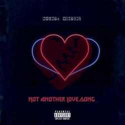 Not Another Love Song