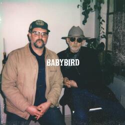 Babybird