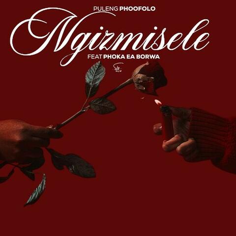 Ngizmisele