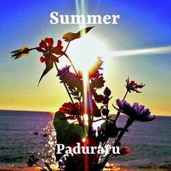 Summer of 2025 (Beach Festival Aerobic Dance Floor Music for Workout Mix)