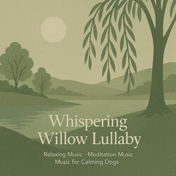 Whispering Willow Lullaby
