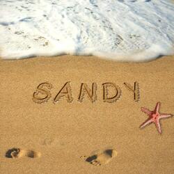 Sandy