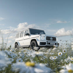 Me Traes Loquito (Dechi)