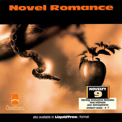 Novel Romance