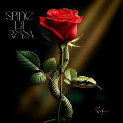 SPINE DI ROSA