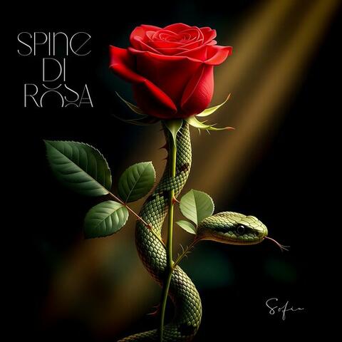 SPINE DI ROSA