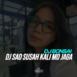 DJ SAD SUSAH KALI MO JAGA