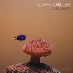 Coral Dream (Continuous Mix)