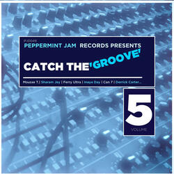 Hold Your Head Up High (Derrick Carter Mid Range Vocal Mix / 2013 Remastered)