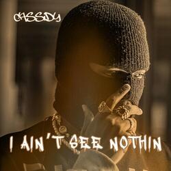I Ain't See Nothin