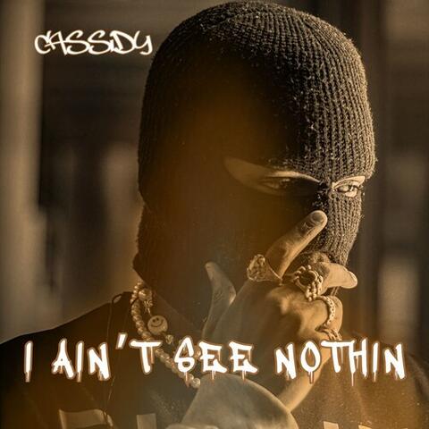 I Ain't See Nothin