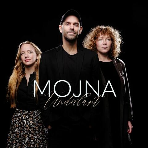 Undulant (Single edit)