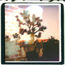Roots