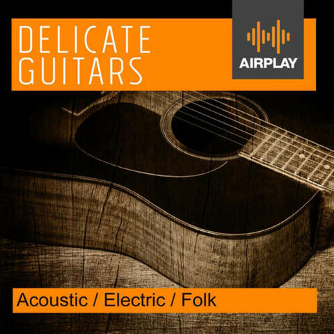 Delicate Guitars