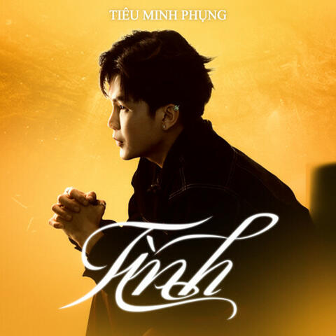 Tình