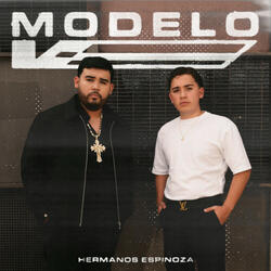 Modelo V