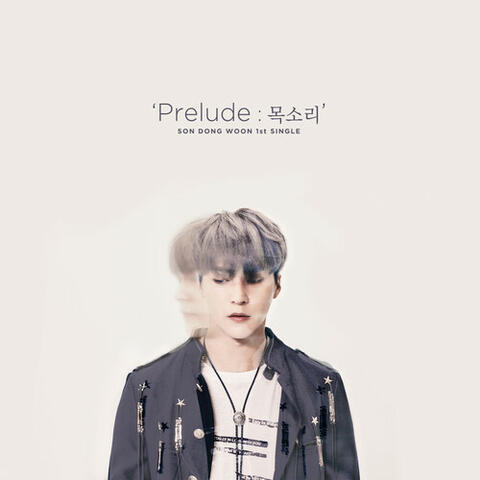 Prelude : The Voice