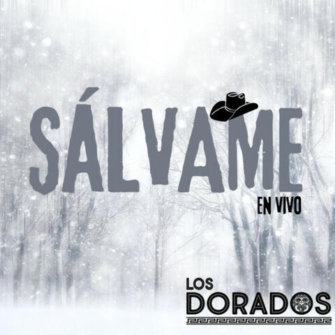 Sálvame (En Vivo)