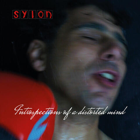 Intropections of a distorted mind