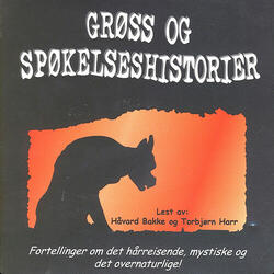 Hjertet Som Sladret