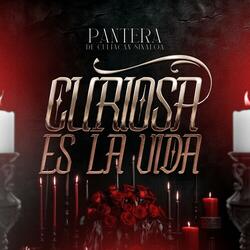 Curiosa Es La Vida