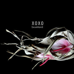 XOXO