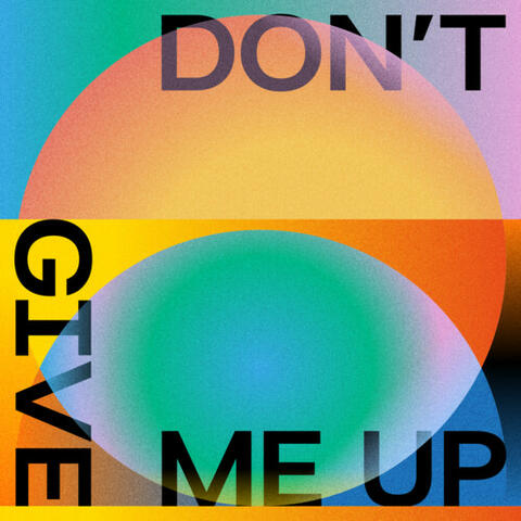 Don't Give Me Up