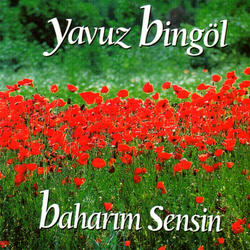 Neredesin Sen