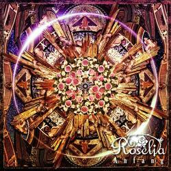 Neo-Aspect