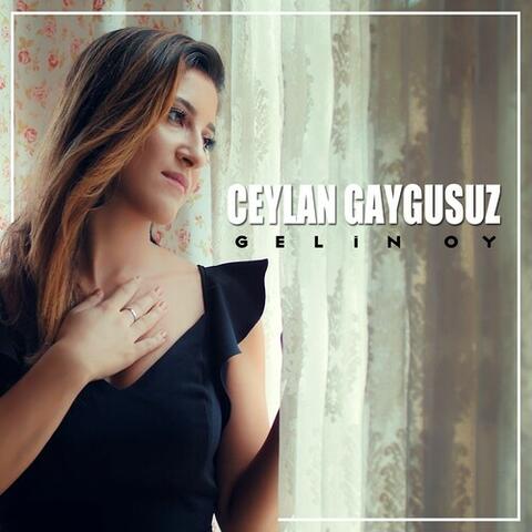 Gelin Oy