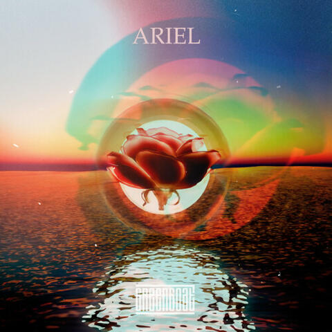 Ariel