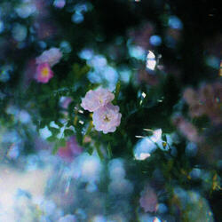 No Surprises (electric guitar)