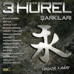 Gönül Sabreyle Sabreyle
