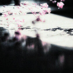 welcome and goodbye (cover)