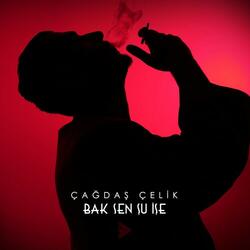 Bak Sen Şu İşe