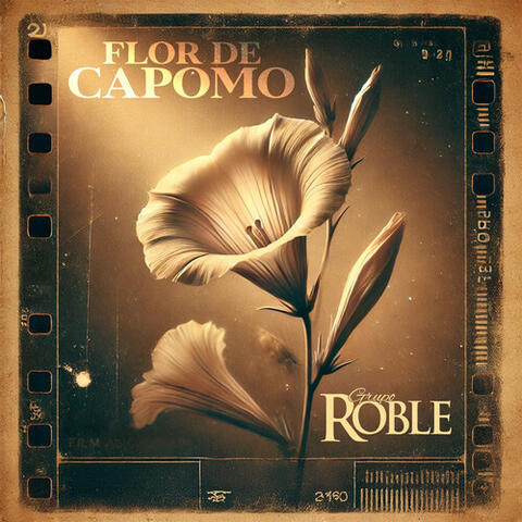 Flor De Capomo