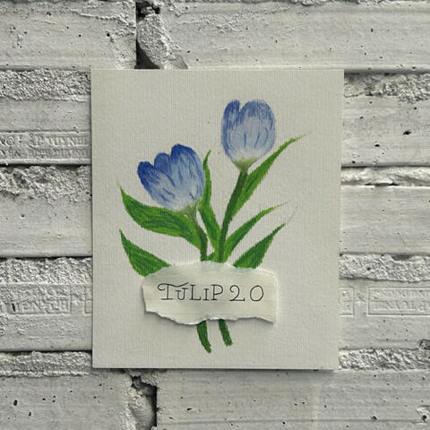 Tulip 20