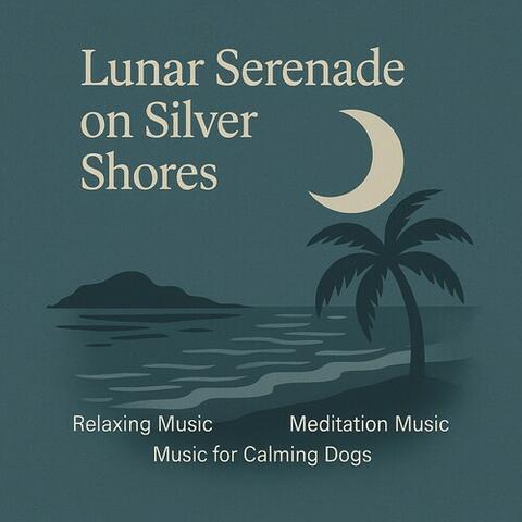 Lunar Serenade on Silver Shores