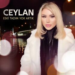 Eski Tadım Yok Artık