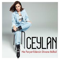 Ne Feryat Edersin Divane Bülbül