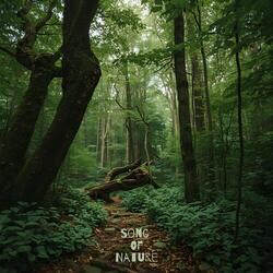 Song of Nature