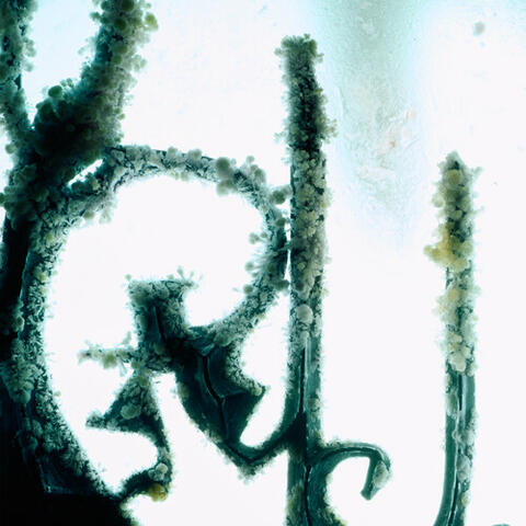 Cinderella (Olof Dreijer Remix)