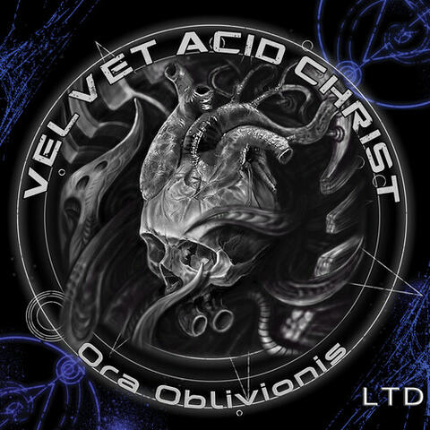 Velvet Acid Christ